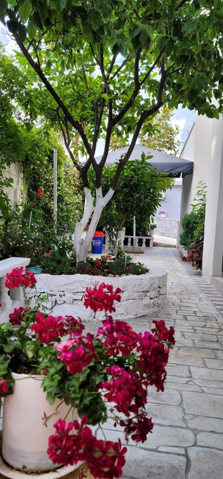 Vila Ori Ksamil Room photo